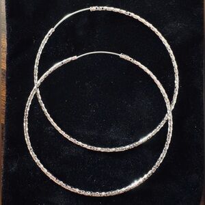 Elegant Silver Hoop Earrings